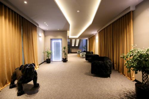 boutique hotels in Vlorë