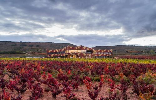 boutique hotels in The French Route