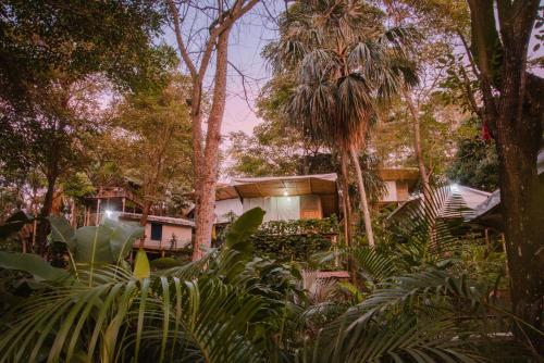 boutique hotels in Magdalena