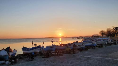boutique hotels in Pomorie