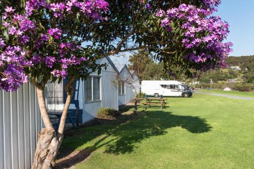 boutique hotels in Paihia