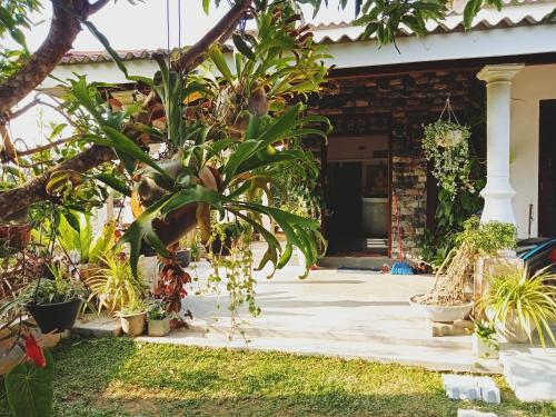 boutique hotels in Mirissa