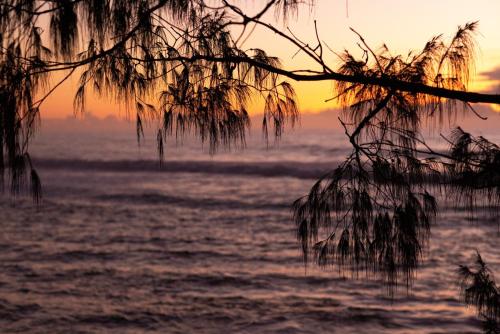 boutique hotels in Port Macquarie