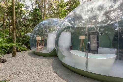 boutique hotels in Quintana Roo