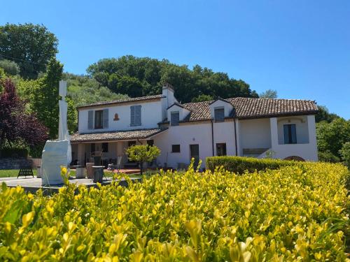 boutique hotels in Molise