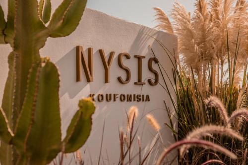 boutique hotels in Schoinoussa Island