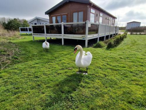 boutique hotels in Grange Over Sands