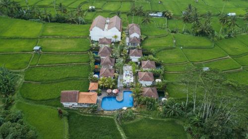 boutique hotels in Bangli