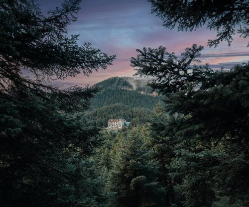 boutique hotels in Arcadia