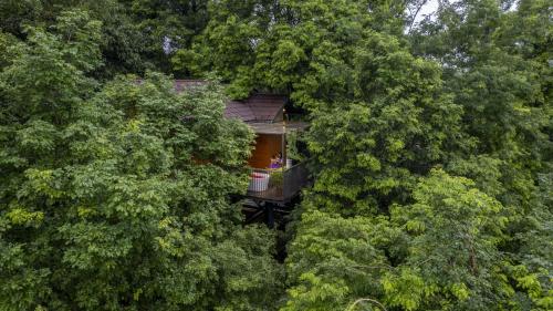boutique hotels in Mahe, South