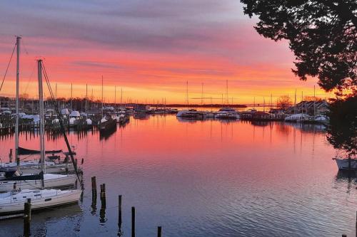 boutique hotels in Maryland