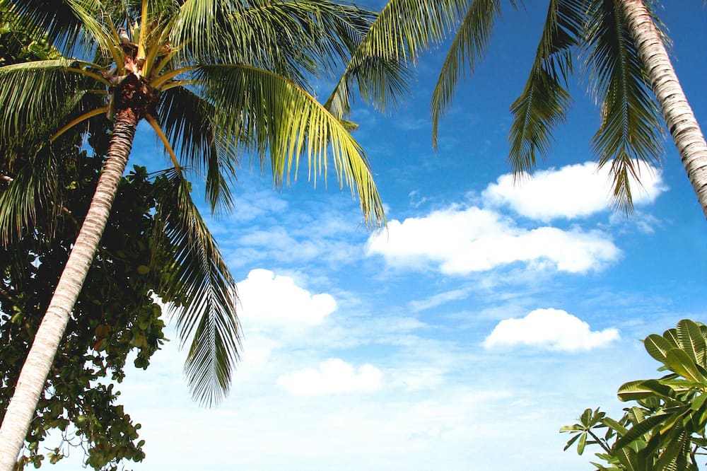 boutique hotels in Chaweng
