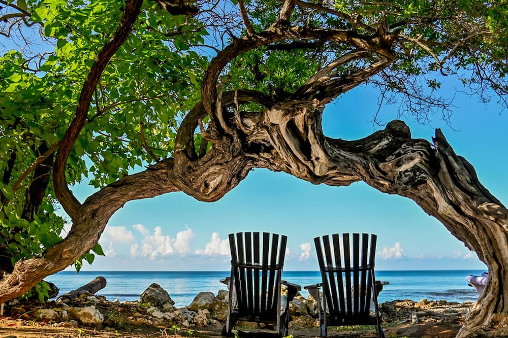 boutique hotels in Saint Elizabeth