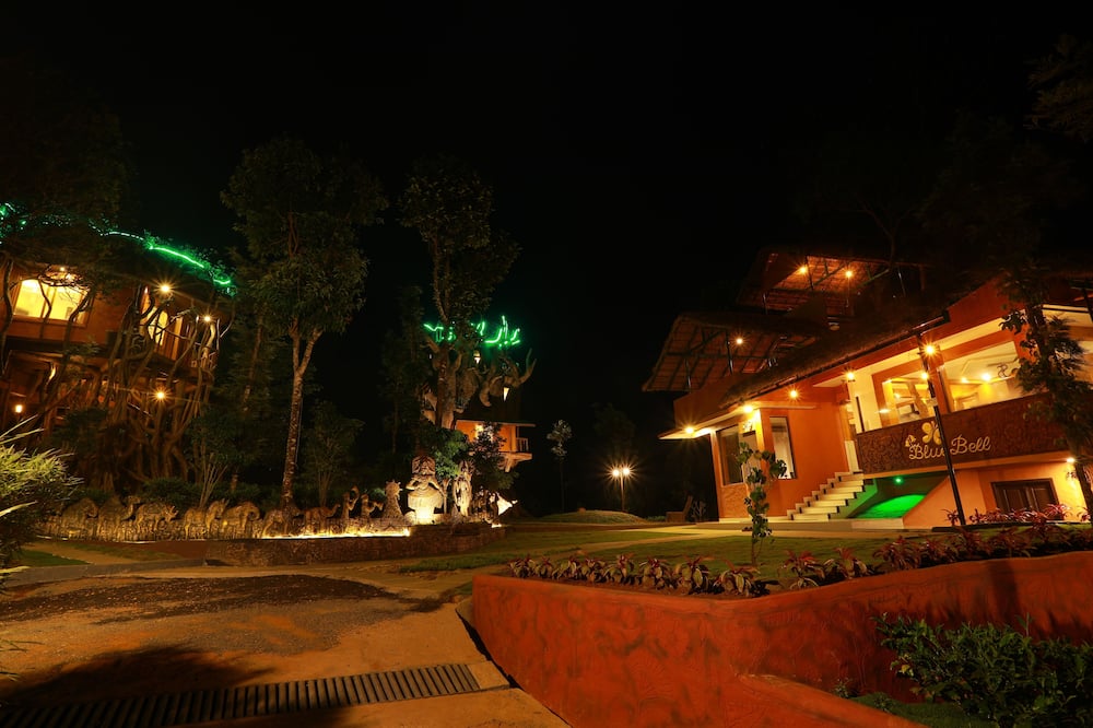 boutique hotels in Wayanad