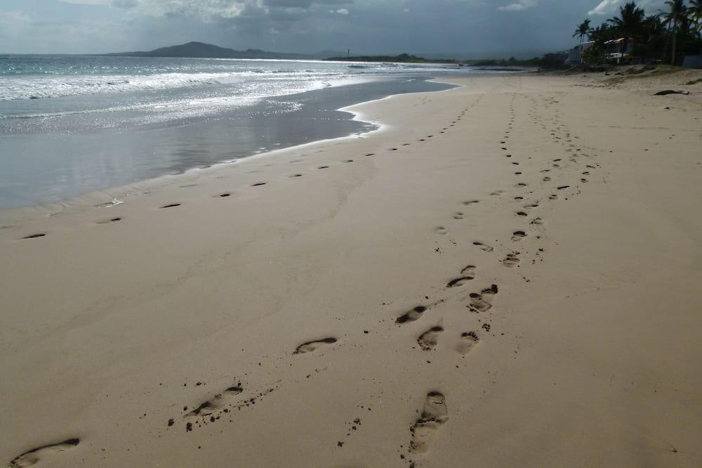 boutique hotels in Isabela Island