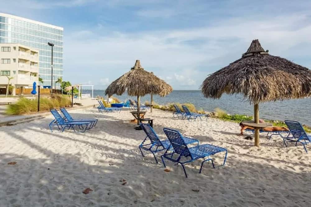 boutique hotels in Tampa