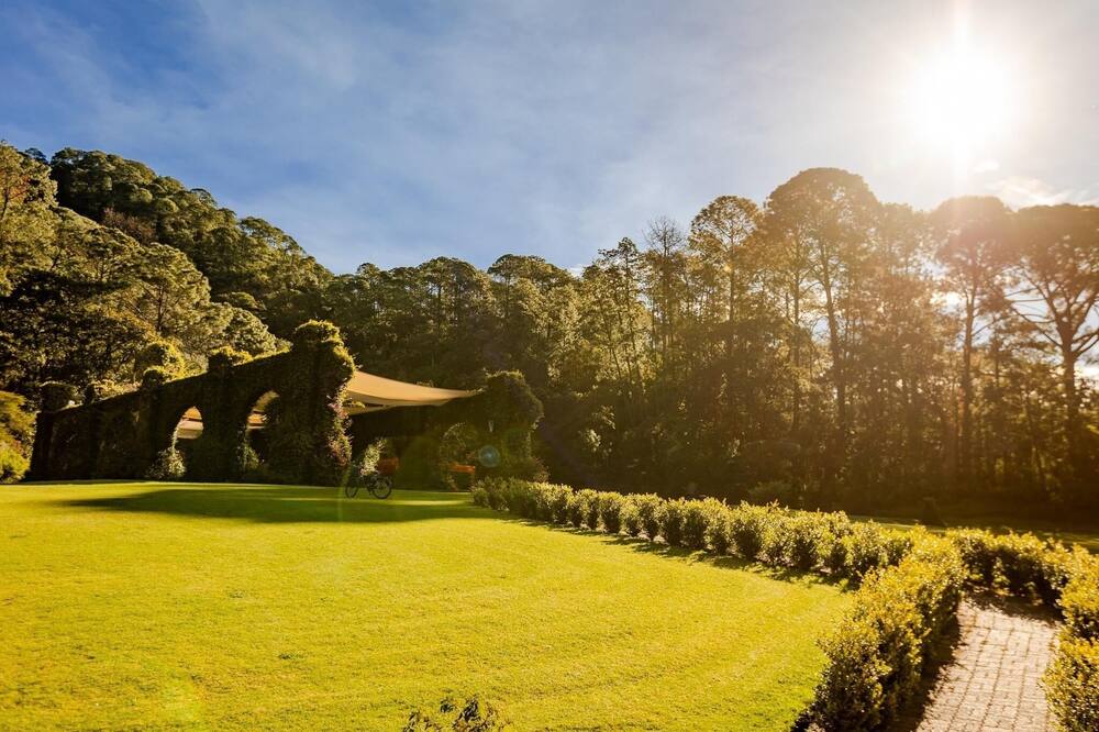 boutique hotels in Mascota