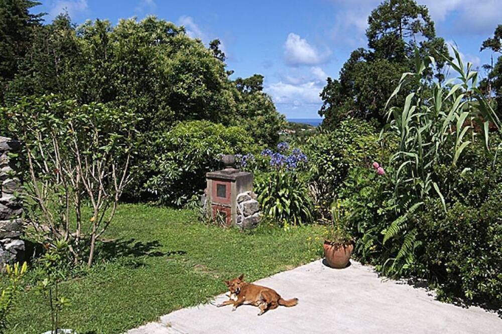 boutique hotels in Ponta Delgada